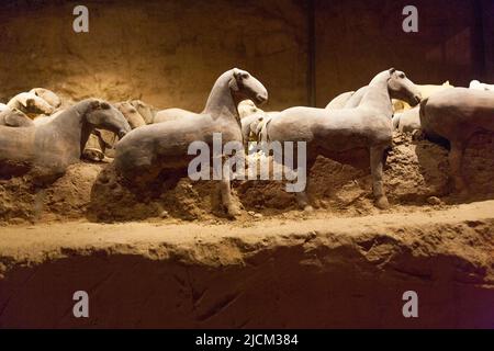 Elementi di terracotta, come figure di esseri umani, guerrieri, hardware militare, E bestiame, inclusi cavalli e animali da fattoria, in mostra in antichi pozzi scavati sotto terra nel tumulo sepolcrale nel mausoleo di Han Yang Ling (o il Mausoleo di Yang Ling di Han), il mausoleo dell'imperatore Jing, il sesto imperatore della dinastia occidentale Han e la sua imperatrice, Wang. XI'an. Cina. PRC. (125) Foto Stock