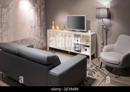 Foto reale di un divano grigio in piedi in un elegante salotto interno  dietro un tavolo bianco con foglie e di fronte a un muro grigio con poster  Foto stock - Alamy