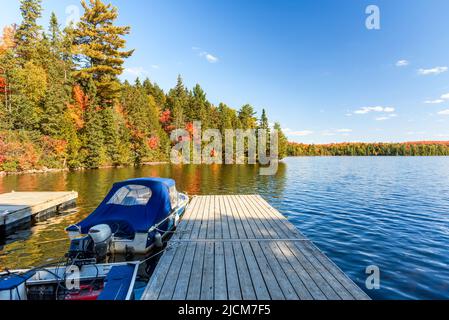 Motoscafi legati a un molo di legno su un lago con coste boschive al picco del fogliame autunno in una soleggiata giornata autunnale Foto Stock