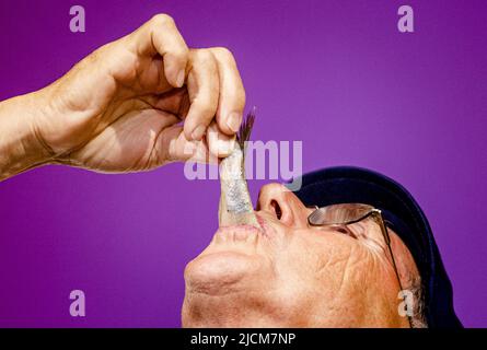 2022-06-14 16:10:34 SCHEVENINGEN - Un uomo assaggia l'aringa dal primo barile, la prima cattura di aringa di quest'anno, dopo che l'asta è terminata. ANP SEM VAN DER WAL uscita paesi bassi - uscita belgio Foto Stock