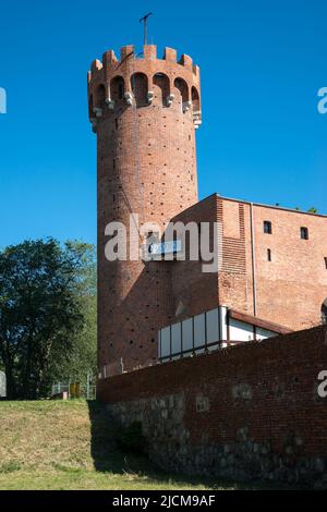 Castello Teutonico a Świecie, Voivodato Kuyaviano-Pomeriano, Polonia Foto Stock