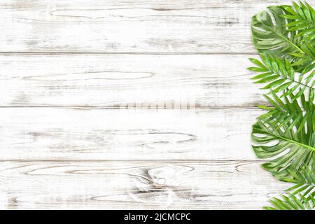 Sfondo floreale con monstera verde e foglie di palma su sfondo di legno luminoso Foto Stock