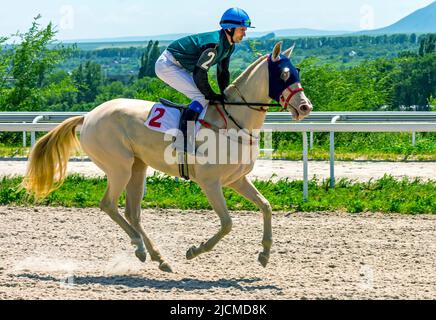 PYATIGORSK,RUSSIA-GIUGNO 12,2022:fine corsa di cavalli per il premio dei Puzzles in Pyatigorsk hippodrome.ahead jockey Tikhonov Yuriy su akhal-teke mare Foto Stock