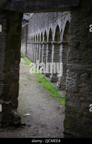 Auckland Castle Deer House nel parco di Auckland Castle, Bishop's Auckland, Inghilterra Regno Unito Foto Stock