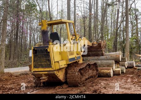 Alberi appena tagliati per la costruzione residenziale nel retroescavatore che sgombrano la foresta sulla sgombratura del terreno Foto Stock