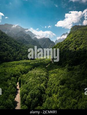 Veduta aerea della strada curvilinea che passa attraverso la foresta d'autunno, vista dall'alto Foto Stock