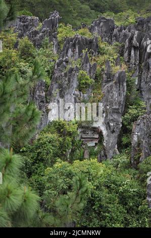 Provincia di montagna, Filippine: Sagada Hanging Cofani legati ad una rupe in Echo Valley, da lontano. Il posizionamento elevato indica la preminenza. Foto Stock