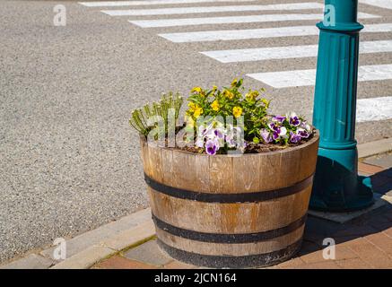 Piantatrice in legno di canna all'aperto. Piantatrice di legno con fiori su una strada. Fuoco selettivo, nessuno, spazio di copia per il testo Foto Stock