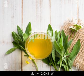 Tazza di tè salvia sul tavolo di legno. Concetto di tisane. Foto Stock