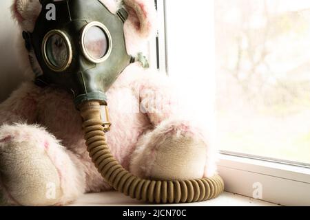 Orsacchiotto in una maschera a gas siede sulla finestra della casa, attacco a gas, guerra in Ucraina, attacco chimico durante la guerra in Ucraina Foto Stock