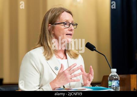 14 giugno 2022, Washington, Distretto di Columbia, Stati Uniti: DEANNE CRISWELL, Amministratore, Agenzia federale di gestione delle emergenze, parlando ad un'audizione della Camera Committee on Homeland Security Committee's Subcommittement on Emergency Preparedness, Response, and Recovery. (Credit Image: © Michael Brochstein/ZUMA Press Wire) Foto Stock