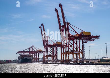 Gru al porto di Melbourne, Victoria, Australia Domenica 17 Aprile 2022. Foto: David Rowland / One-Image.com Foto Stock