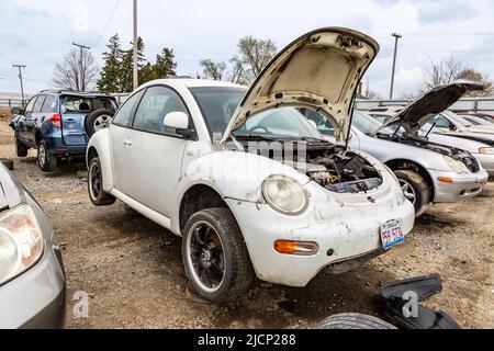 Un Volkswagen bianco rottamato nuovo Beetle coupé in mostra con un cofano aperto al LKQ Pick your part junkyard a Fort Wayne, Indiana, USA. Foto Stock