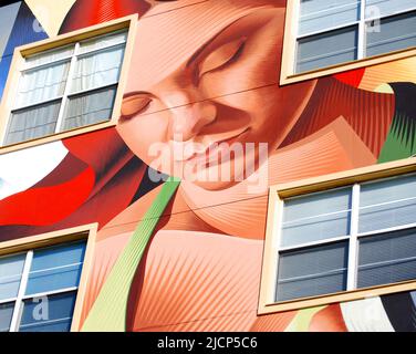 Dipinti / murales unici su un edificio di appartamenti a Dallas Texas, vicino alla stazione di Mockingbird ca. 2009 Foto Stock