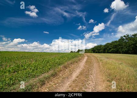 Un percorso polveroso intorno al campo in primavera sotto il cielo blu con le nuvole. Foto Stock