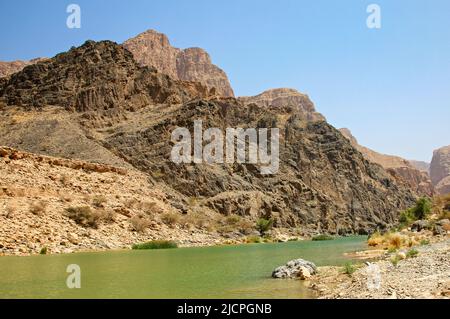 Un'oasi in Oman Foto Stock