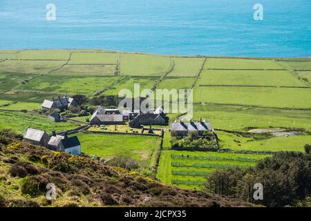 Vista fino all'Abbazia di Santa Maria e cottage da Mynydd Enlli con pecore pascolo in campi di mare. Isola di Bardsey, Penisola di Llyn, Gwynedd, Galles, Regno Unito Foto Stock