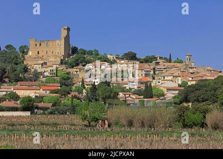 Francia, Vaucluse, Châteauneuf-du-Pape, villaggio vigneto AOC Cotes du Rhône Foto Stock