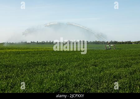 Pistole irrigatore irrigazione sistema irrigazione campo grano Foto Stock