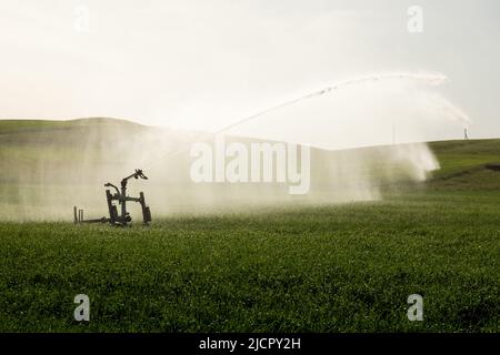 Pistole irrigatore irrigazione sistema irrigazione campo grano Foto Stock