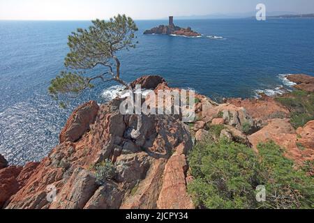 Francia, Var (83) Saint Raphaël, le Dramont, Cap Dramont e l'Ile d'Or Foto Stock