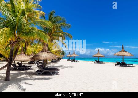 Bella spiaggia con palme e ombrelloni di paglia in resort tropicale sull'isola di Paradise. Foto Stock