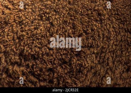 Primo piano su lana o fibra di alpaca giovane marrone scuro - lama pacos Foto Stock