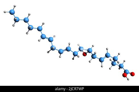 3D immagine dell'acido 8,9-epoxyeicosatrienoico formula scheletrica - struttura chimica molecolare dell'eicosatrienoico dell'acido eicosanoico isolato sul dorso bianco Foto Stock