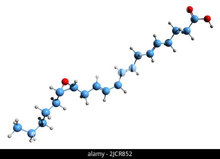 3D immagine della formula scheletrica dell'acido 14,15-epoxyeicosatrienoico - struttura chimica molecolare dell'EET isolata su sfondo bianco Foto Stock