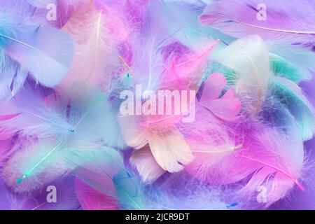 Sfondo con elementi decorativi di piume multicolore, rosa, blu, menta, viola Foto Stock