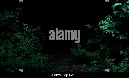 Foresta pluviale tropicale fogliame piante cespugli telaio su sfondo scuro Foto Stock