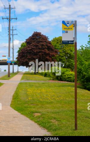 Halifax Transit bus stop informazioni segno post con accesso handicap e numero di fermata per il tracciamento. HALIFAX, NOVA SCOTIA, CANADA - GIUGNO 2022 Foto Stock