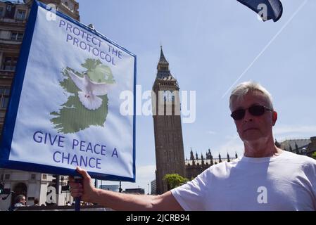 Londra, Regno Unito. 15th giugno 2022. I manifestanti si sono riuniti al di fuori del Parlamento a sostegno del protocollo dell'Irlanda del Nord e per protestare contro la Brexit e il governo Tory. Credit: Vuk Valcic/Alamy Live News Foto Stock