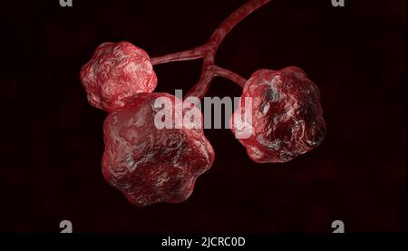 3D rappresentazione degli alveoli nei polmoni. Tracciato di ritaglio incluso Foto Stock