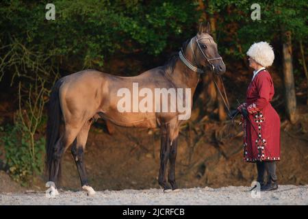 Akhal-Teke. Donna in costume russo che tiene stallone buckskin. Germania. Foto Stock