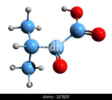 3D immagine dell'acido alfa-chetoisovalerico formula scheletrica - struttura chimica molecolare del chetoacido isolato su sfondo bianco Foto Stock