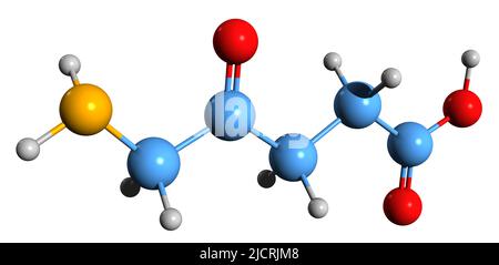 3D immagine dell'acido aminolevulinico formula scheletrica - struttura chimica molecolare dell'amminoacido non proteinogeno isolato su sfondo bianco Foto Stock