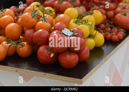 Varietà di peperoni mostrati nelle finestre Foto Stock