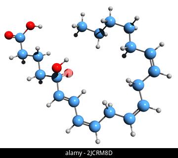 3D immagine di acido arachidonico 5-idroperossido formula scheletrica - struttura chimica molecolare di 5-HPETE isolato su sfondo bianco Foto Stock