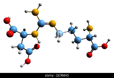 3D immagine dell'acido argininosuccinico formula scheletrica - struttura chimica molecolare dell'amminoacido isolato su sfondo bianco Foto Stock