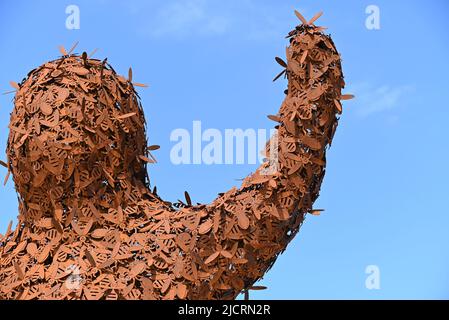 Varietà di peperoni mostrati nelle finestre Foto Stock