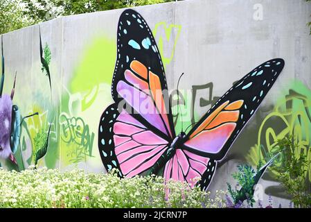Varietà di peperoni mostrati nelle finestre Foto Stock