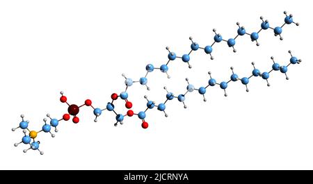 3D immagine del colfosceril palmitato formula scheletrica - struttura chimica molecolare del tensioattivo polmonare isolato su sfondo bianco Foto Stock