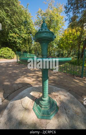 Acqua fontana, CWM Donkin Park, Uplands, Dylan Thomas, Swansea, Galles, Regno Unito Foto Stock