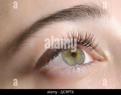 Procedura di estensione classica delle ciglia. Bella donna occhi close-up con ciglia lunghe Foto Stock