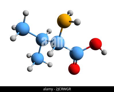 3D immagine della formula scheletrica valina - struttura chimica molecolare dell'amminoacido amminometilbutanoico isolato su sfondo bianco Foto Stock