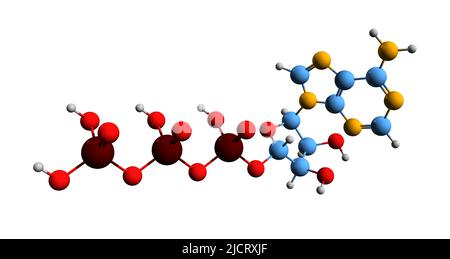 3D immagine di ATP formula scheletrica - struttura chimica molecolare di adenosina trifosfato isolato su sfondo bianco Foto Stock