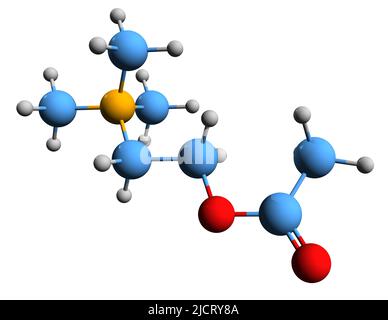 3D immagine della formula scheletrica dell'acetilcolina - struttura chimica molecolare del neurotrasmettitore ACH isolato su sfondo bianco Foto Stock