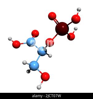 3D immagine di 2-fosfoglicerato formula scheletrica - struttura chimica molecolare di 2PG isolato su sfondo bianco Foto Stock