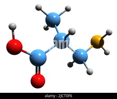 3D immagine della formula scheletrica dell'acido 3-amminoisobutirrico - struttura chimica molecolare DI BAIBA isolata su sfondo bianco Foto Stock